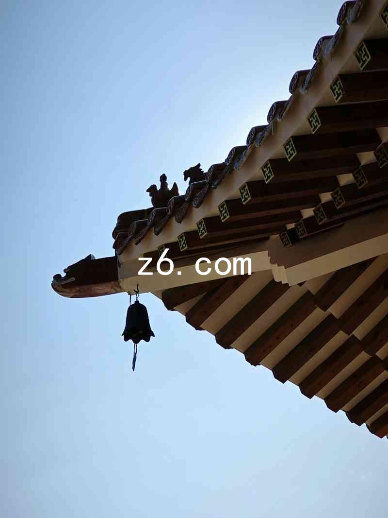 z6.com