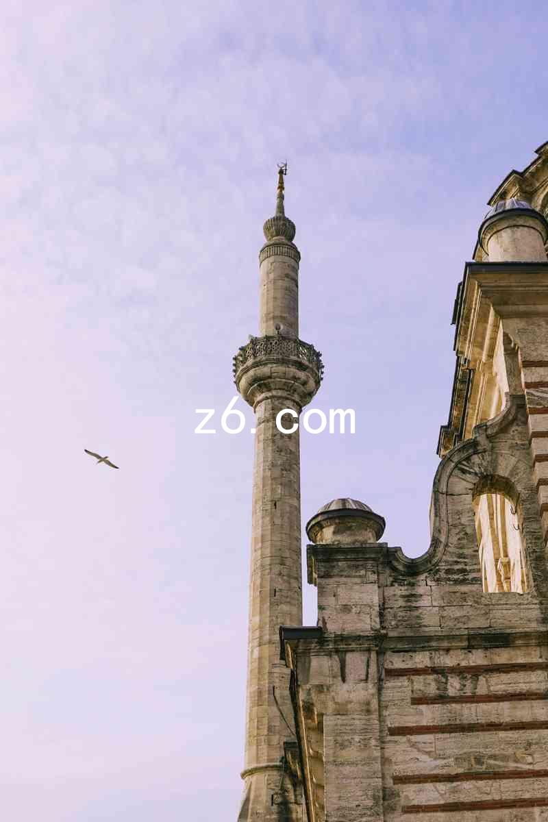 z6.com